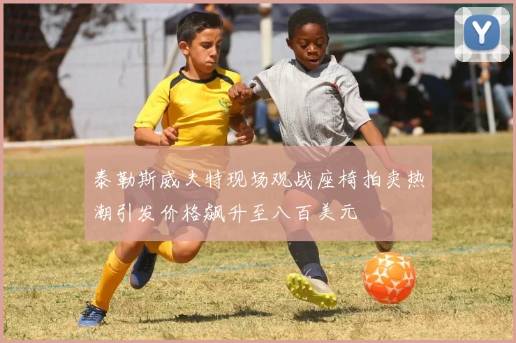 泰勒斯威夫特现场观战座椅拍卖热潮引发价格飙升至八百美元