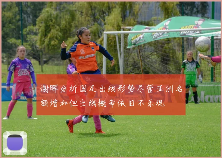 谢晖分析国足出线形势尽管亚洲名额增加但出线概率依旧不乐观